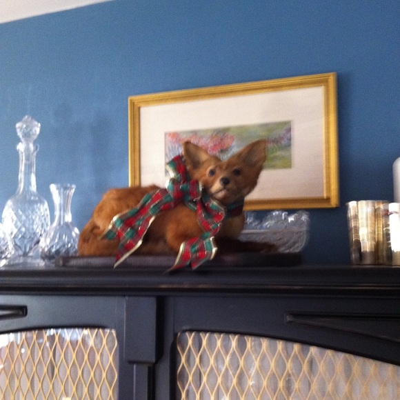 Meet your Posher, Luka - Picture 8 of 17